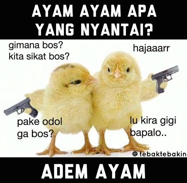 8 Meme nama-nama hewan ini benar juga ya, bikin ngakak deh