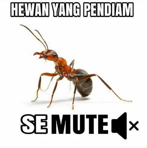 8 Meme nama-nama hewan ini benar juga ya, bikin ngakak deh
