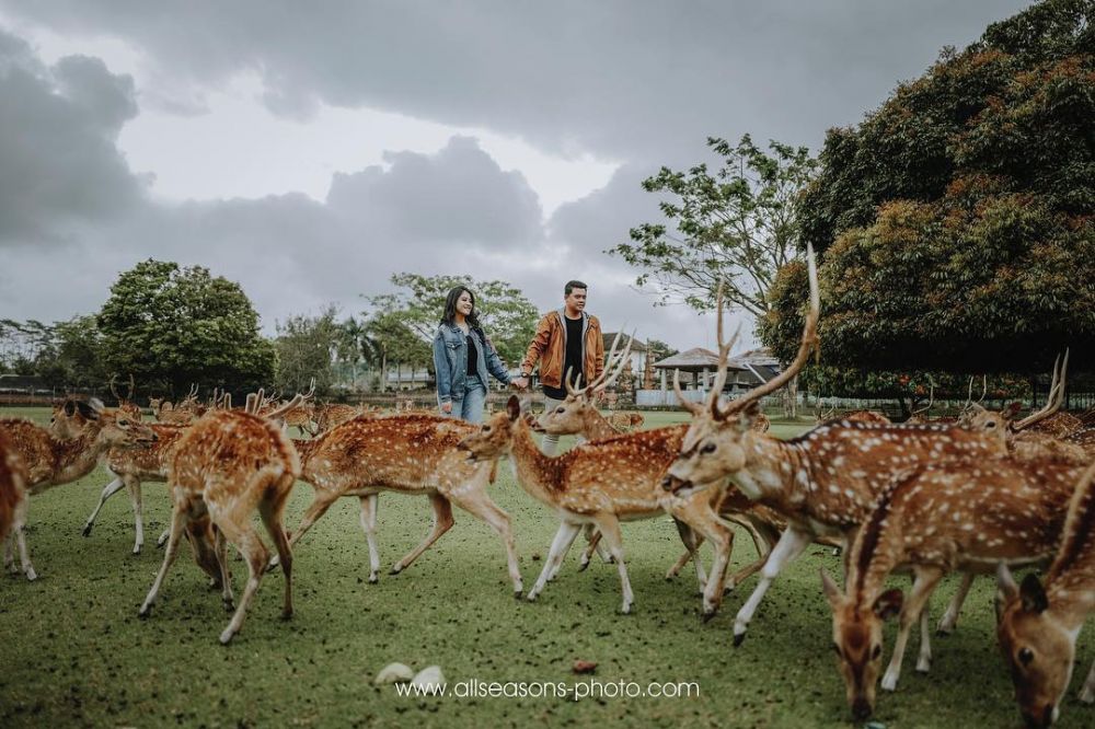 5 Lokasi foto prewedding Kahiyang-Bobby, tunjukkan indahnya Nusantara