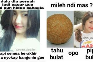10 Meme Via Vallen ini bikin kamu pengen goyang O A O E seharian