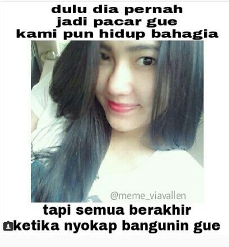 10 Meme Via Vallen ini bikin kamu pengen goyang O A O E seharian
