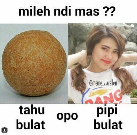 10 Meme Via Vallen ini bikin kamu pengen goyang O A O E seharian