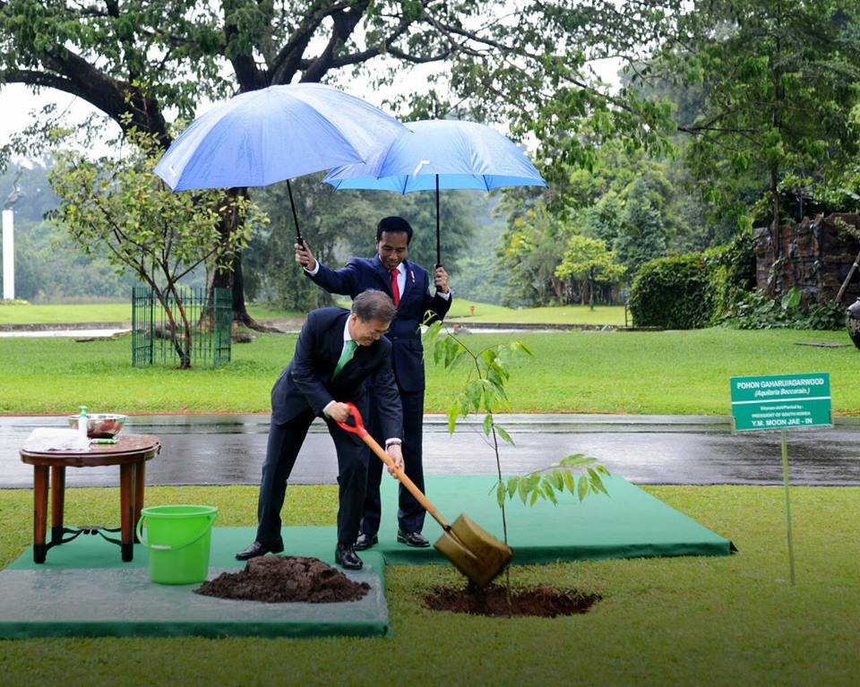 Ini gaya Jokowi saat payungi pemimpin negara lain, dekat dan hangat