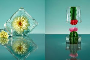  9 Karya bunga beku super unik, bisa jadi inspirasi kado untuk kekasih