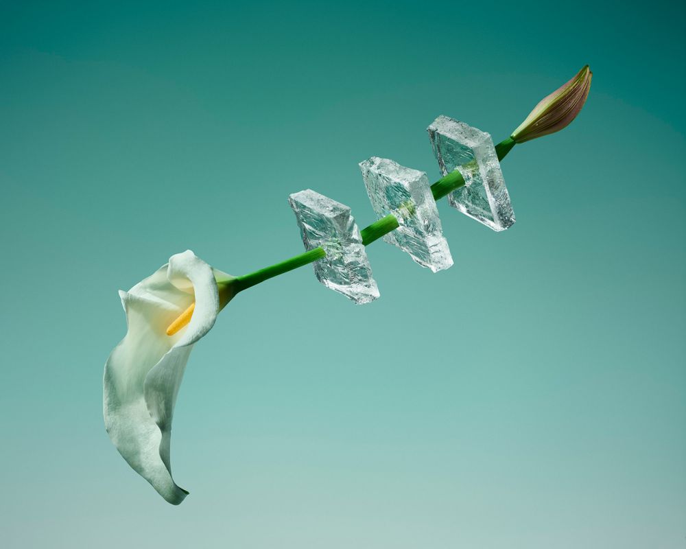  9 Karya bunga beku super unik, bisa jadi inspirasi kado untuk kekasih