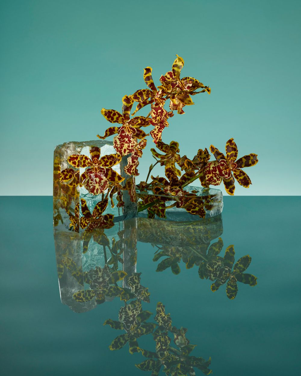  9 Karya bunga beku super unik, bisa jadi inspirasi kado untuk kekasih