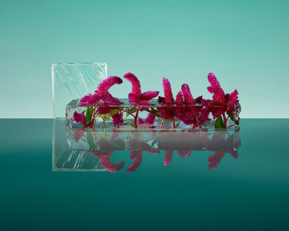  9 Karya bunga beku super unik, bisa jadi inspirasi kado untuk kekasih