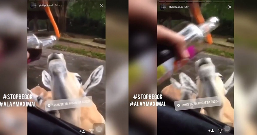 Parah, cowok-cewek ini beri minuman keras ke hewan Taman Safari