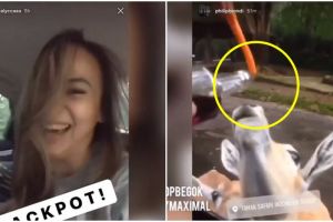 Viral video anak muda beri hewan minuman keras, ini kata Taman Safari