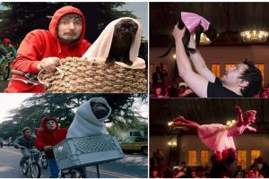 Pria ini remake 12 adegan film ternama bersama kucing, kocak abis