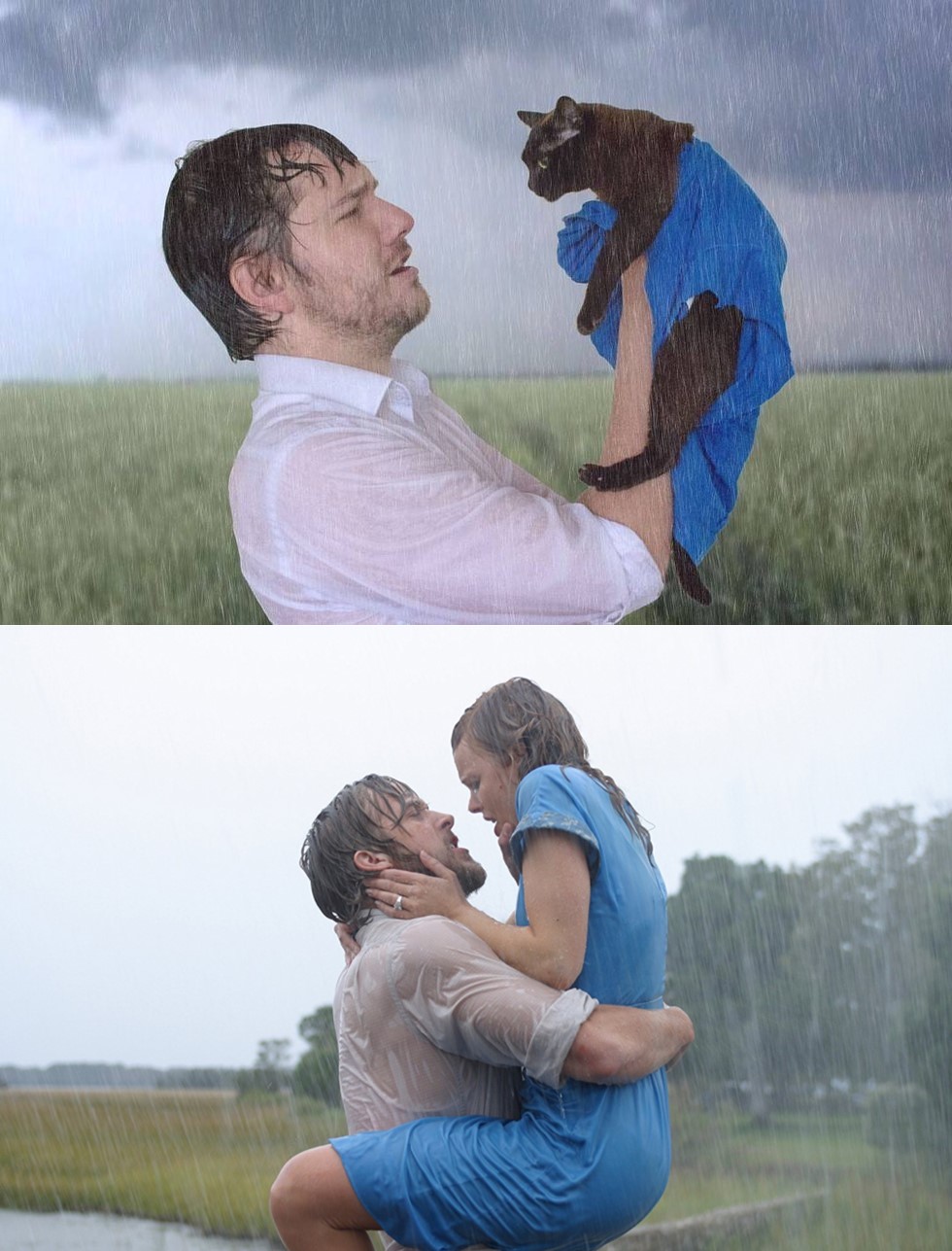 Pria ini remake 12 adegan film ternama bersama kucing, kocak abis