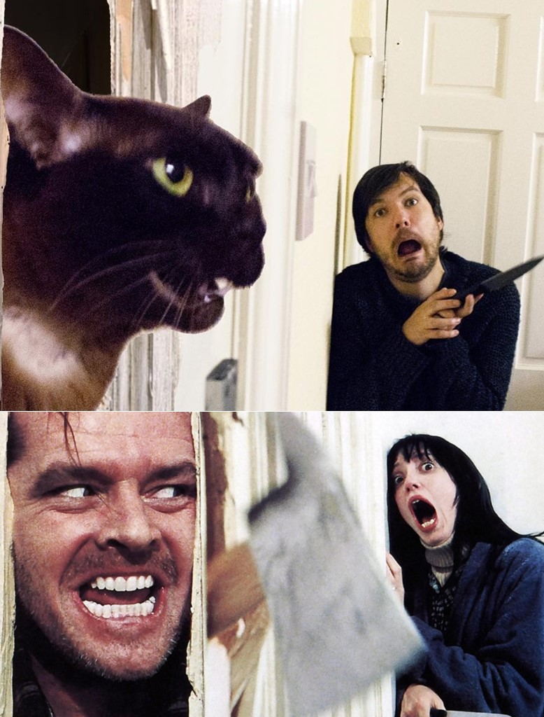 Pria ini remake 12 adegan film ternama bersama kucing, kocak abis