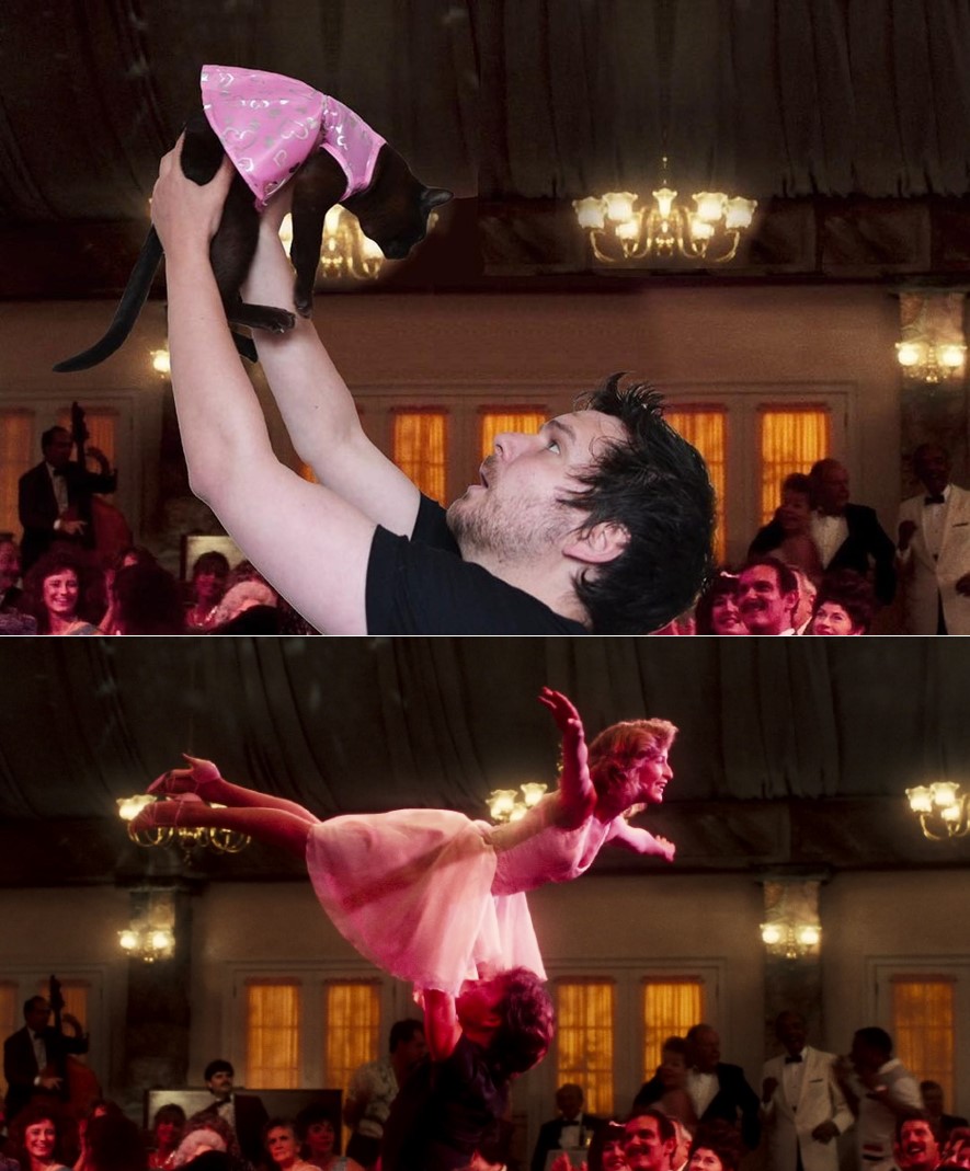 Pria ini remake 12 adegan film ternama bersama kucing, kocak abis