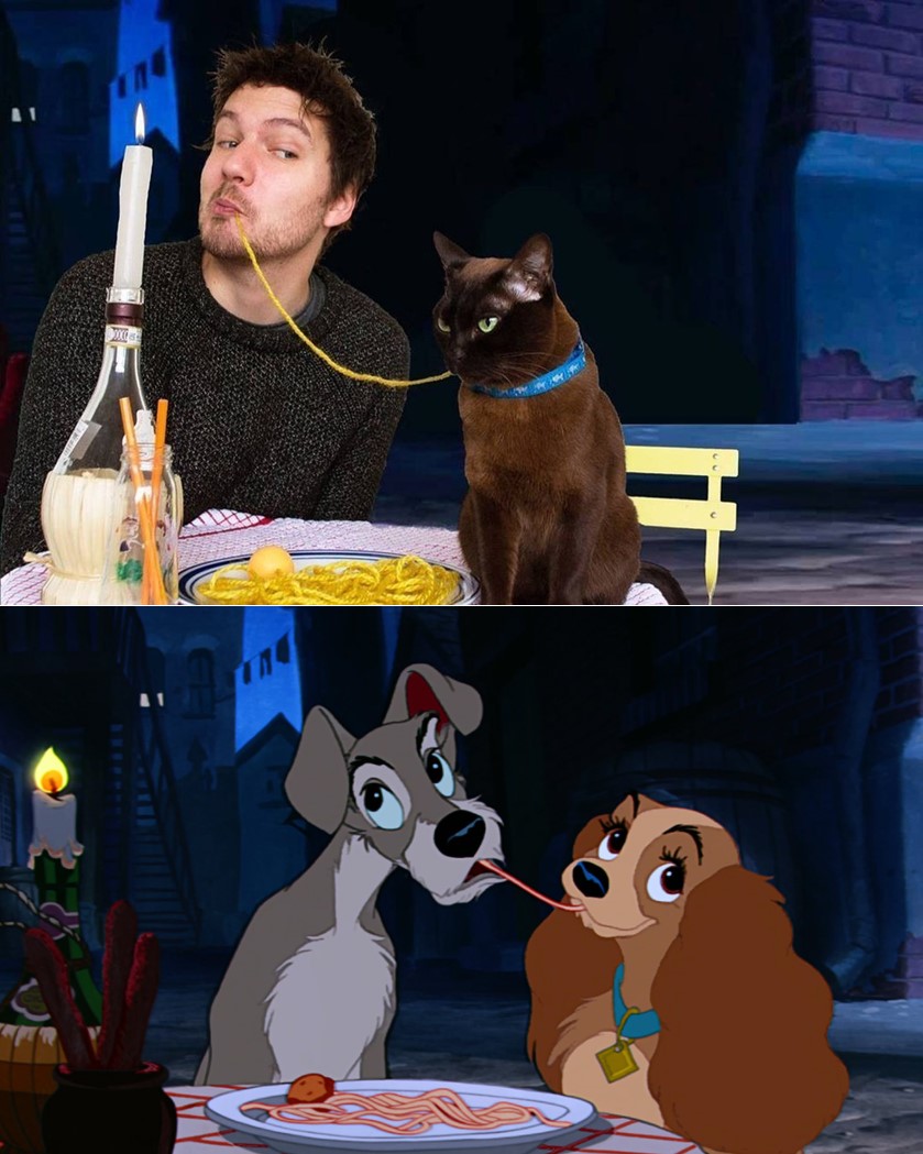 Pria ini remake 12 adegan film ternama bersama kucing, kocak abis