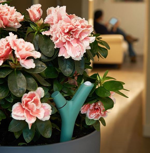 10 Penemuan tak terduga ini canggih dan berguna banget