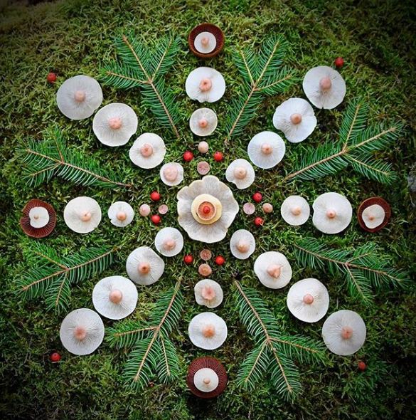 10 Kreasi memukau ini disusun dari jamur liar, kreatif banget