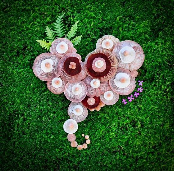 10 Kreasi memukau ini disusun dari jamur liar, kreatif banget