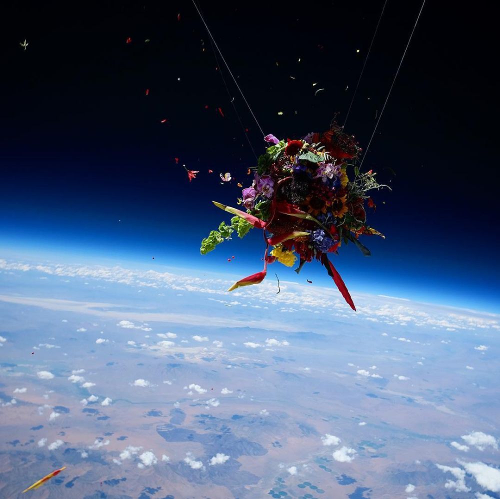 6 Penampakan saat bunga dikirim ke luar angkasa, bikin berdecak kagum