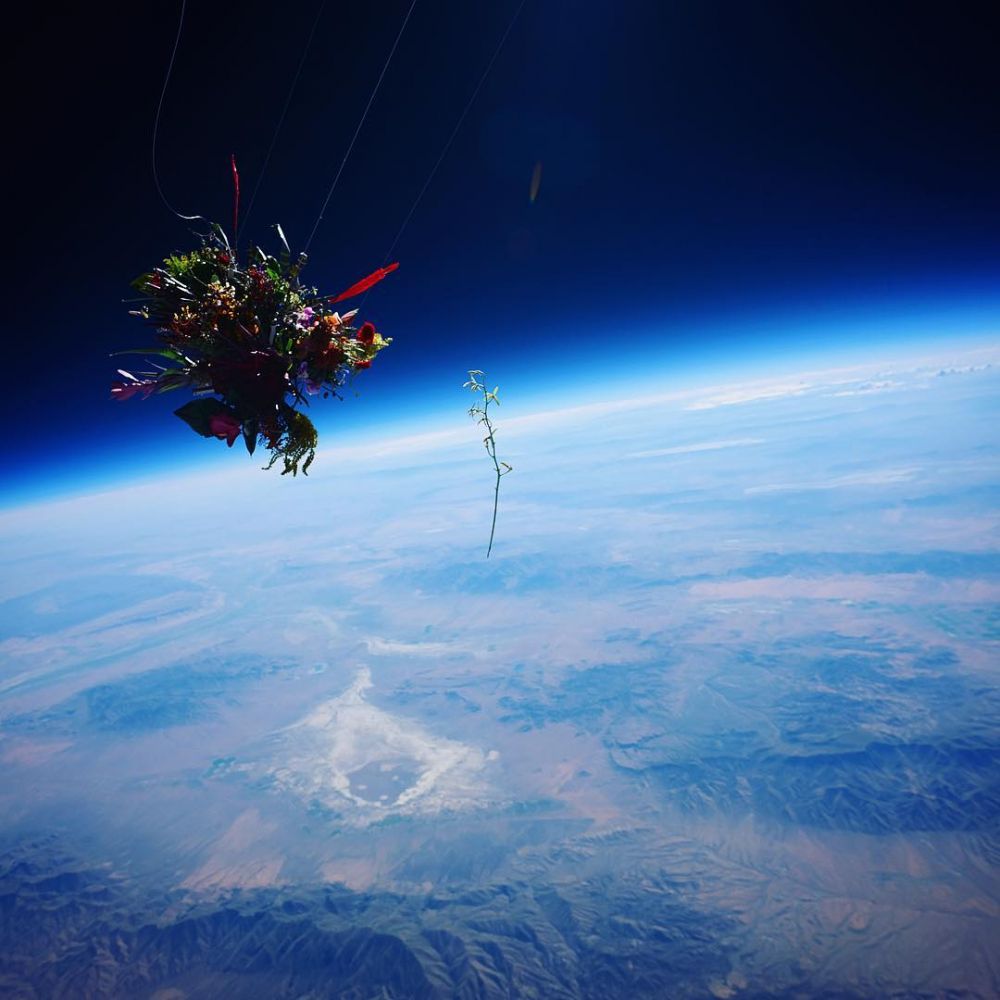 6 Penampakan saat bunga dikirim ke luar angkasa, bikin berdecak kagum