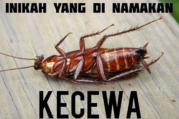 10 Meme nggak nyambung, bikin kamu pengen tersenyum kecut