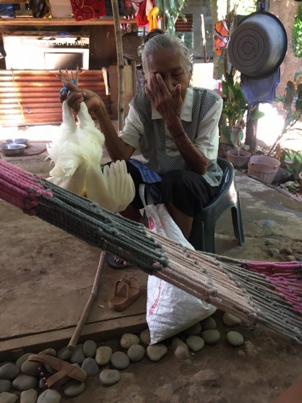 Demi hidupi cucunya, nenek ini rela menjual ayam peliharaannya