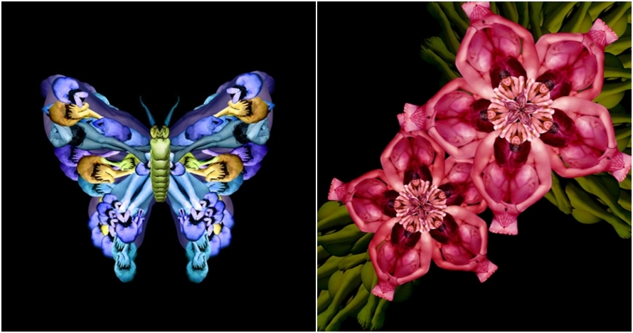 15 'Bunga & hewan' ini detailnya keren, aslinya nggak akan kamu sangka