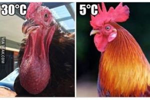 10 Meme 'cuma cowok yang paham', awas cengar-cengir sendiri