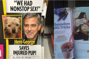  15 Layout media cetak ini bikin pembaca bingung sampai malu-maluin