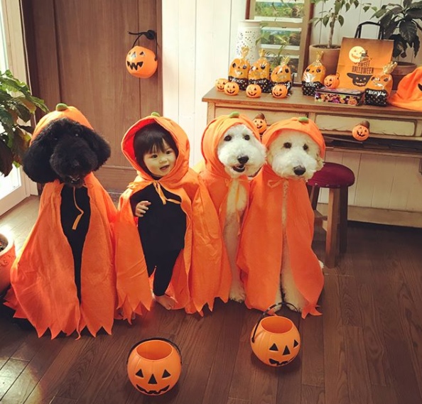 12 Potret serasi anak kecil dan hewan peliharaannya, ngegemesin abis