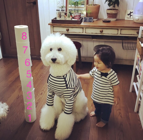 12 Potret serasi anak kecil dan hewan peliharaannya, ngegemesin abis