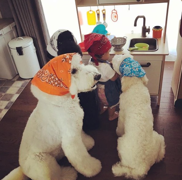 12 Potret serasi anak kecil dan hewan peliharaannya, ngegemesin abis