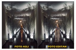 14 Foto editan dekorasi Natal Gedung Putih dari warganet, ada-ada aja