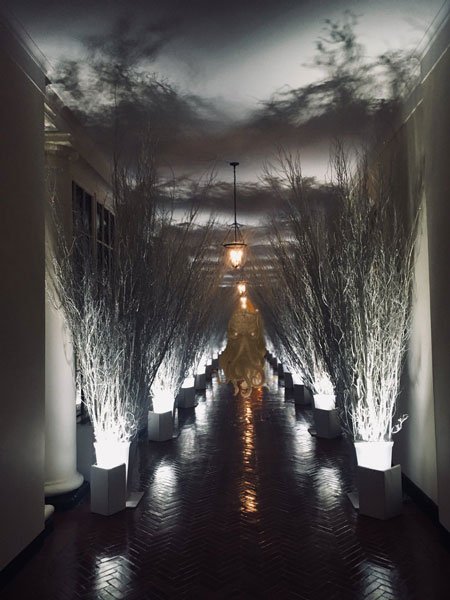 14 Foto editan dekorasi Natal Gedung Putih dari warganet, ada-ada aja