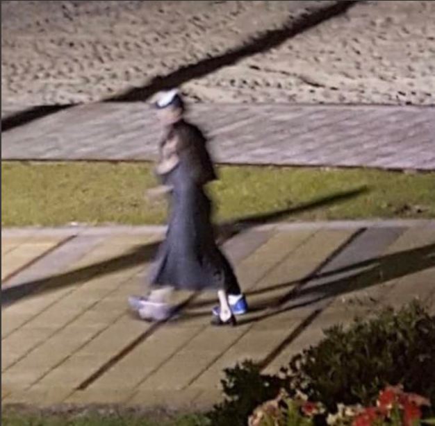 4 Momen saat Dakota Johnson kepergok jalan bareng Chris Martin