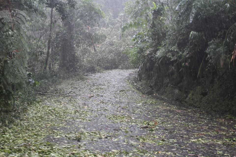 8 Foto kondisi Kebun Raya Cibodas yang ditutup karena cuaca ekstrem