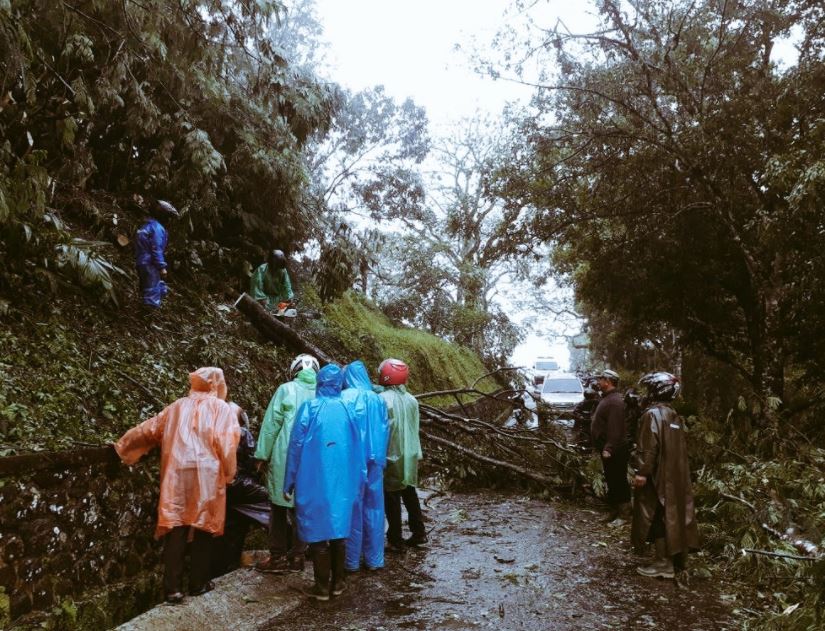 8 Foto kondisi Kebun Raya Cibodas yang ditutup karena cuaca ekstrem