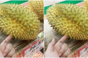 3 Fakta mengejutkan durian, antioksidan yang baik