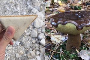 Jika 15 benda ini tampak seperti makanan, artinya kamu sedang lapar