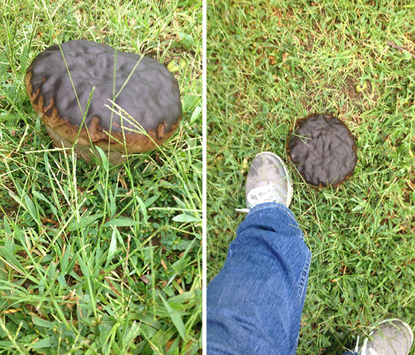 Jika 15 benda ini tampak seperti makanan, artinya kamu sedang lapar