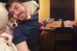 10 Pose hewan peliharaan dan majikannya, kompak abis