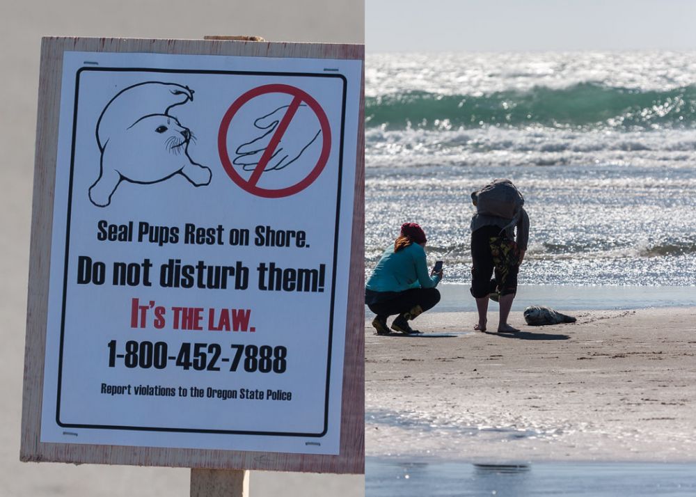 13 Momen ngerusak mood gara-gara kelakuan sembrono orang