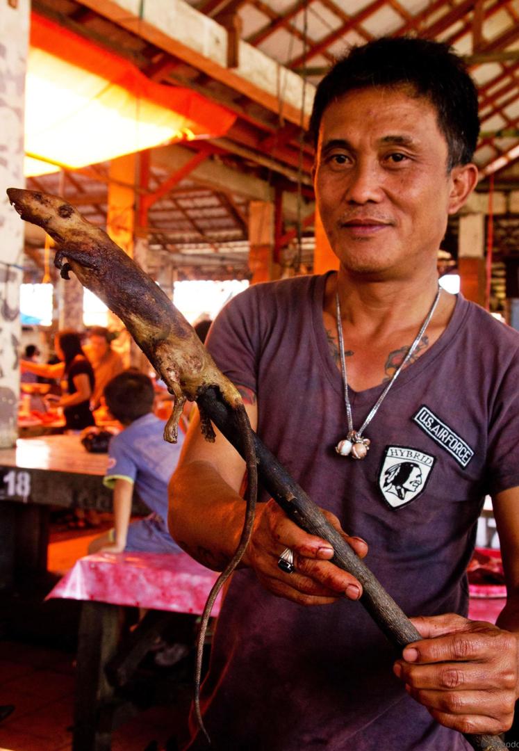 5 Binatang tak lazim ini jadi makanan khas di Indonesia