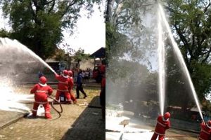 Bukan kobaran api, pemadam kebakaran semprotkan air ke sarang tawon