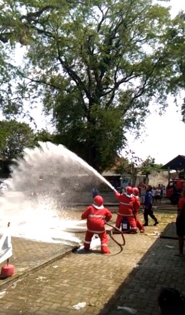 Bukan kobaran api, pemadam kebakaran semprotkan air ke sarang tawon