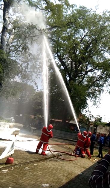 Bukan kobaran api, pemadam kebakaran semprotkan air ke sarang tawon