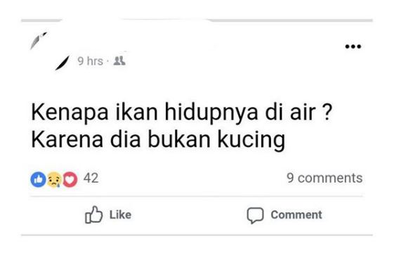 10 Jawaban status ini ngawurnya kebangetan, layak musnah!