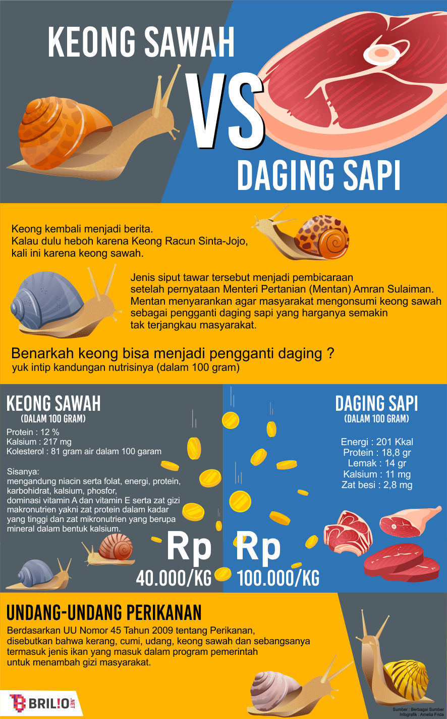 Menyingkap fakta keong sawah, pengganti daging yang diusulkan Mentan