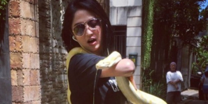 6 Seleb cantik Tanah Air ini pernah berfoto dengan ular