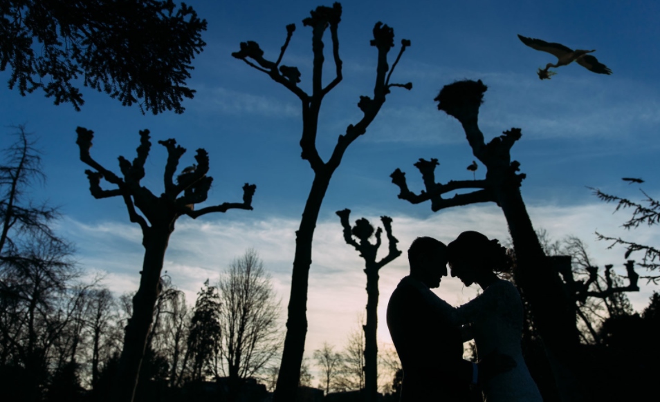 14 Foto angle perfect pasangan pengantin bikin kagum sekaligus baper