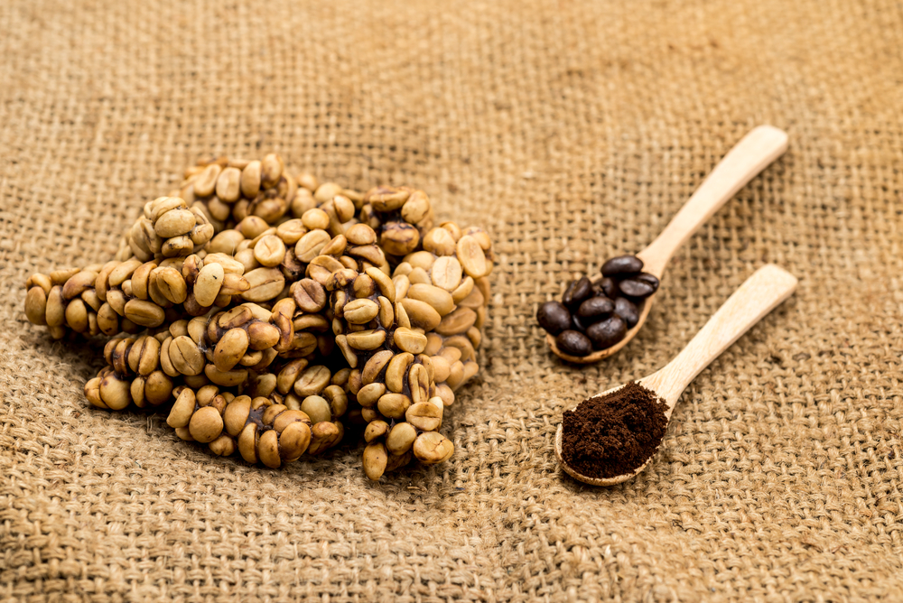 6 Fakta kopi luwak, mungkinkah dijual dengan harga murah?